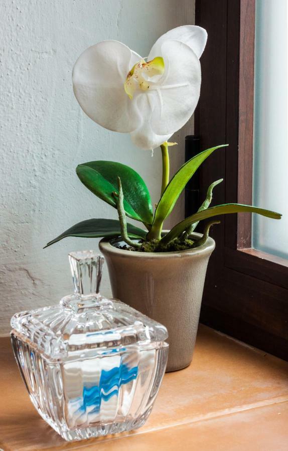 Finca La Meica Bed&Breakfast 카사벌메야 외부 사진
